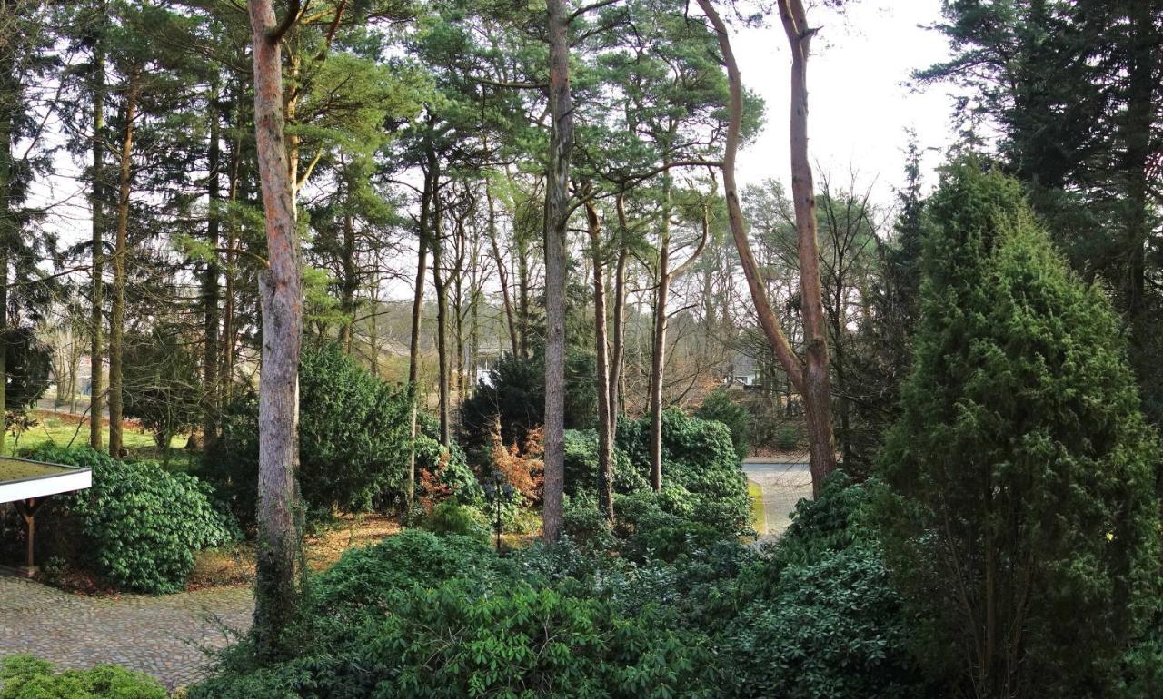 Ferienwohnung Kiefernblick-Wedemann Bispingen Exteriér fotografie